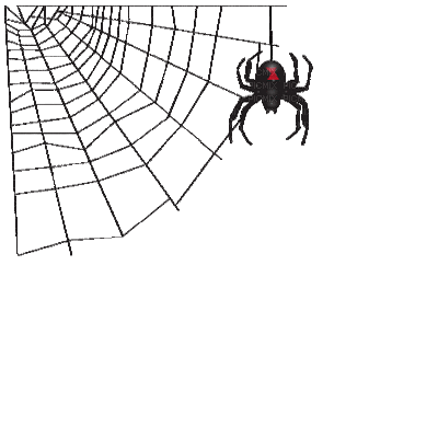 web